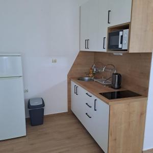 Kuchyň nebo kuchyňský kout v ubytování Apartments Cecilija