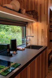 OposhnyaにあるOBRIY holiday villageのシンクと窓のあるキッチン