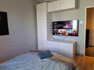 Telewizja i/lub zestaw kina domowego w obiekcie Comfortable Apartment close to Spodek