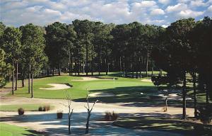 a view of a golf course with a green at Sea Trail Golf Resort & Convention Center in Sunset Beach