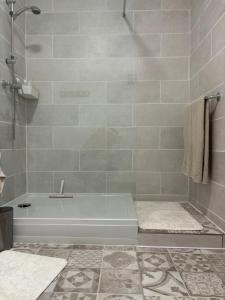 a bathroom with a tub and a shower at La Salle d Attente - Hyper centre in Châlons-en-Champagne +11 photos