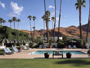 un resort con piscina con palmeras y sillas en Parker Palm Springs, en Palm Springs