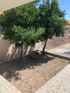 A garden outside Jim's House