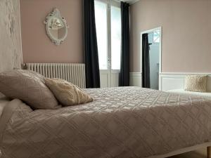 a bedroom with a bed and a mirror on the wall at La Salle d Attente - Hyper centre in Châlons-en-Champagne