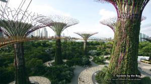 Příroda nedaleko hotelu