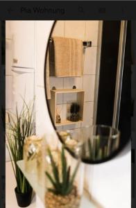 lustro w łazience z rośliną i umywalką w obiekcie Willkommen im Apartment Lilly in Ladbergen direkt am Flughafen FMO w mieście Ladbergen