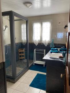 a bathroom with a shower and a sink at Location saisonnière A portée de vue in La Possession