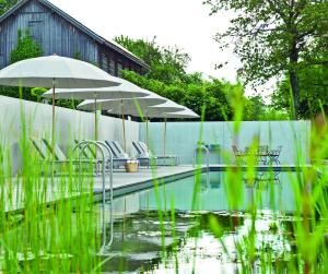 a swimming pool with chairs and umbrellas in a yard at Biohotel Pausnhof in Sankt Oswald +33 photos