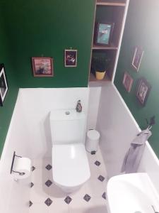 a bathroom with a white toilet and green walls at Vacation house in the mountains in Esparraguera
