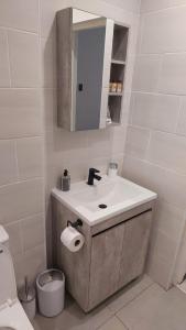 a bathroom with a sink and a mirror and a toilet at Familia in Pietermaritzburg