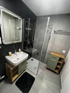 Koupelna v ubytování Apartmány v Javorné na Šumavě