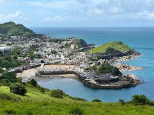 eine Küstenstadt mit einer Brücke über ein Gewässer in der Unterkunft Seacroft - 3 Bed Georgian Listed Townhouse with Wood Burning Stove in Ilfracombe