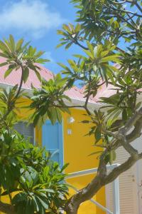um prédio amarelo com uma porta azul atrás de algumas árvores em Les Ilets De La Plage em Gustavia