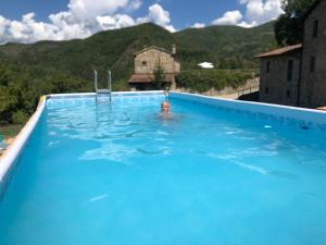 Bazén v ubytovaní Le Chianine dei Tognoli alebo v jeho blízkosti