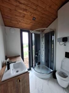 a bathroom with a shower and a sink and a toilet at Cichy Brzeg Mazurski in Popowo Salęckie +44 photos