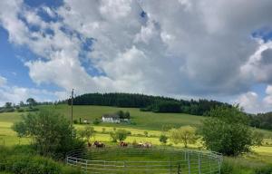 a group of horses in a field with a fence at Kriegwald Apartements in Julbach
