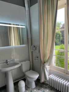 a bathroom with a toilet and a sink and a window at Château de Goville in Le Breuil-en-Bessin