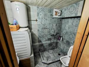 a small bathroom with a shower and a toilet at JTverga SEA VIEW HOMES A2 with Parking in Kalamata +47 photos