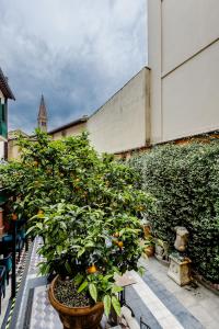 Zahrada ubytování Hotel Palazzo dal Borgo