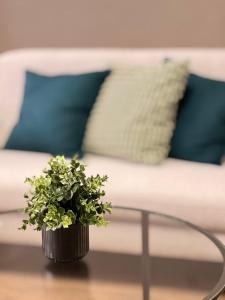 Afbeelding uit fotogalerij van Hi Life Sukhumvit 65 in Bangkok