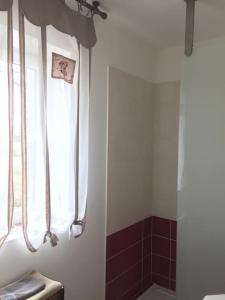 ein Badezimmer mit Dusche und Fenster in der Unterkunft La maison du Verger in Brinon-sur-Sauldre