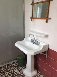 ein Badezimmer mit einem weißen Waschbecken und einem Spiegel in der Unterkunft La maison du Verger in Brinon-sur-Sauldre