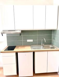 een keuken met witte kasten en een spoelbak bij Collet Résidence in Nice +9 foto's