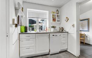 Η κουζίνα ή μικρή κουζίνα στο 1 Bedroom Gorgeous Apartment In Rønne