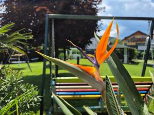 Zahrada ubytování Hotel Garni Hutter