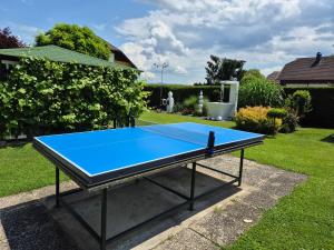 Stolní tenis v ubytování Hotel Garni Hutter nebo okolí