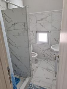 a bathroom with a shower with a toilet and a sink at Apartmani Srećko in Žabljak