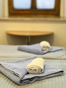 two towels sitting on top of two beds at Gasthof Löwen in Pfronten +164 photos