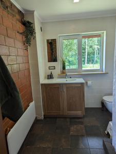 a bathroom with a sink and a toilet and a window at Brīvdienu māja "Saules Avoti" in Talsi +22 photos