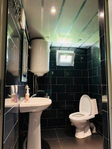 a bathroom with a toilet and a sink at Vodo's Guesthouse in Chvabiani