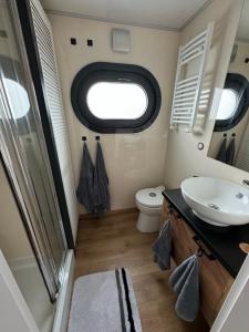 Hausboot KOMET Luxus und Natur pur max 5 Pers的一间浴室