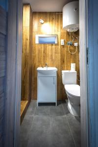a bathroom with a toilet and a sink at Przystań Lubniewice - Małe Domki in Lubniewice