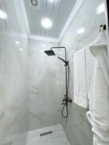 エレバンにあるRoyal Picnic Houseのガラスドア付きのシャワー付きのバスルーム