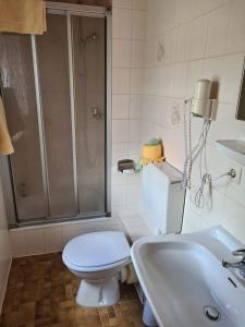 a bathroom with a toilet and a shower and a sink at Pension Zum Grünen Wald in Feuchtwangen +39 photos