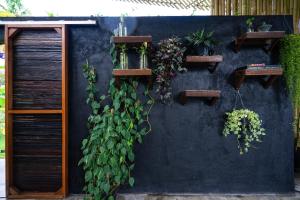 a blue wall with several plants on it at Let's Get Lost Ubud in Ubud