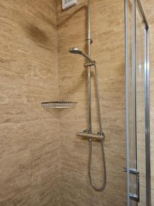 a shower with a shower head in a bathroom at Apartmány Skalica in Skalica +75 photos