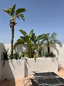 a patio with palm trees and a table and chairs at Fantastic Spanish villa with swimming pool in Sierra Golf, near Corvera airport in Murcia in La Tercia