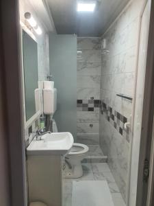 ein Badezimmer mit Toilette, Waschbecken und Dusche in der Unterkunft Guest house Vila Bor in Novi Sad