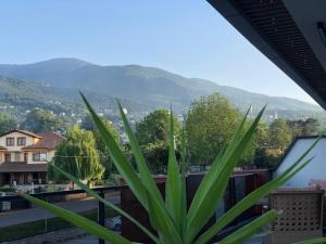 Nespecifikovaný výhled na hory nebo výhled na hory při pohledu z vily + 1 fotografie