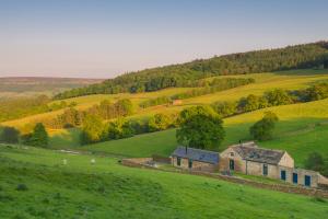Loodusmaastik puhkemaja lähedal +6 fotot