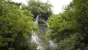 Ảnh trong thư viện ảnh của Guest house Mekvena ở Mek'vena