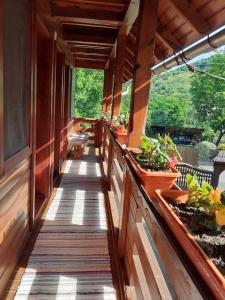 a porch of a house with potted plants on it at Casa ,,Kiss-lak,, in Praid