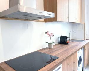 kuchnia z blatem z kuchenką górny piekarnik w obiekcie Cosy Hideaway Near Montparnasse w Paryżu