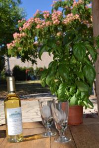 Afbeelding uit fotogalerij van Maison rénovée avec terrasse privative et jardin au centre de Gemenos in Gémenos