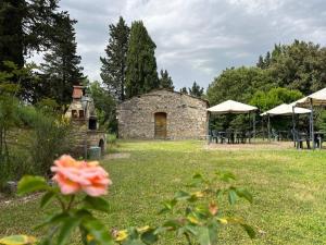 Vrt pred nastanitvijo Il Cascino
