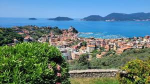 a view of a city and the water at Miralunga Villetta Rossa in Lerici